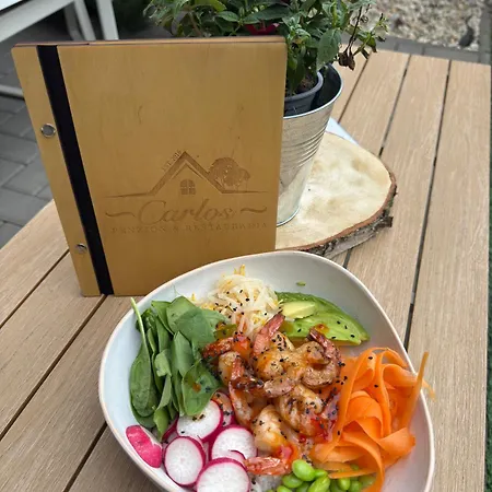 Penzion Carlos Podluzany (Banovce nad Bebravou)